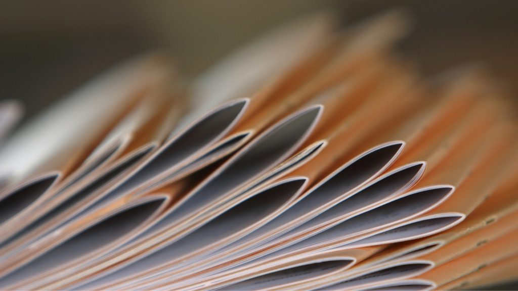 sunifutar-sunifutarpecs-szorolap-szorolapterjesztes-brosura