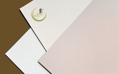 Klímaváltozás és szórólapozás: valóban a papír a környezet ellensége?